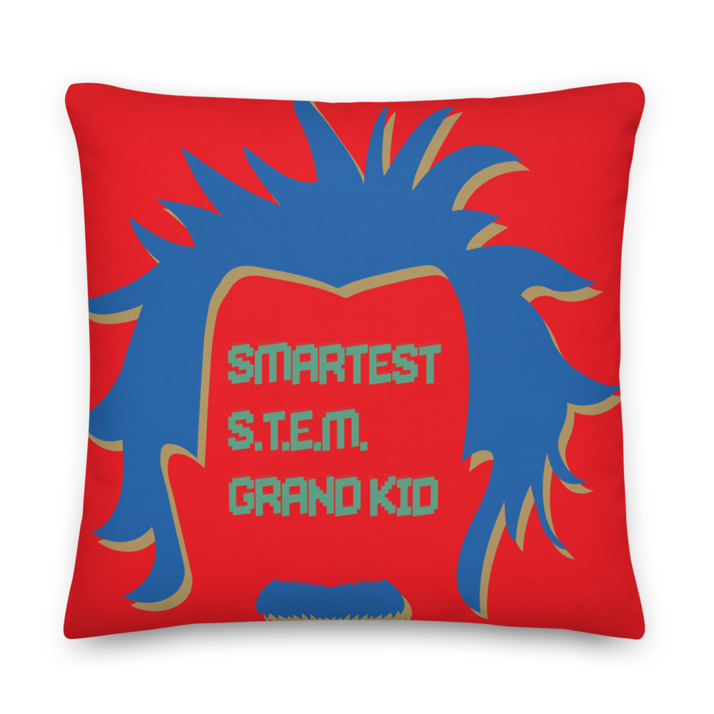 Smart Grand Kid, Albert Einstein Pillow