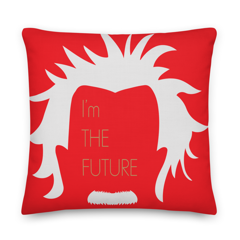Smart Grand Kid, Albert Einstein Pillow