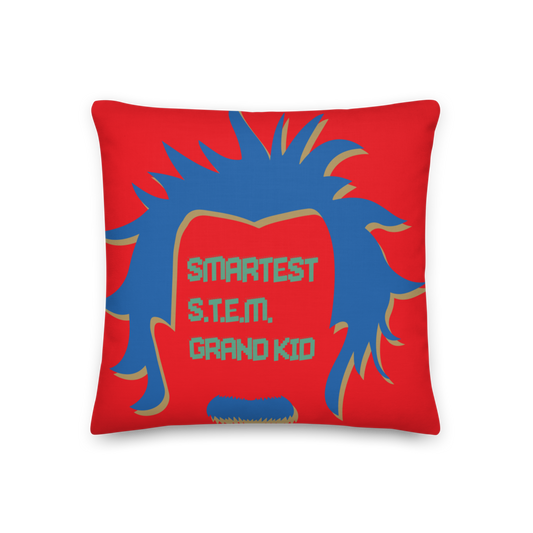 Smart Grand Kid, Albert Einstein Pillow